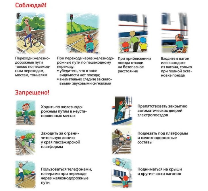 Приложение 1000387523 2.jpg